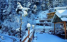 Soham'S Chateau De Naggar - Manali